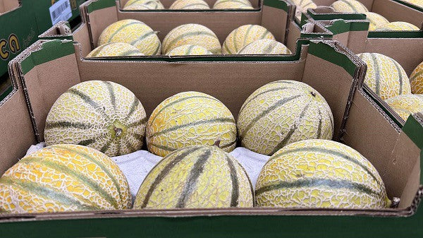 Melon