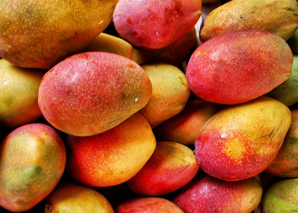 Mangue