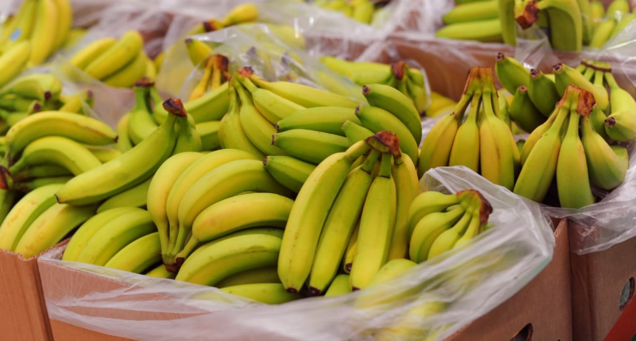 Bananes