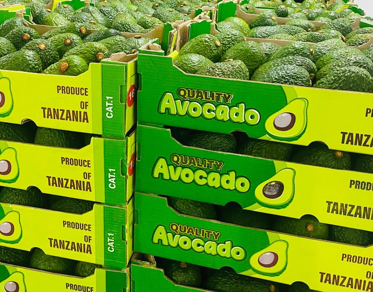 Avocat