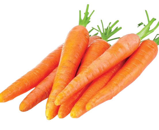Carottes