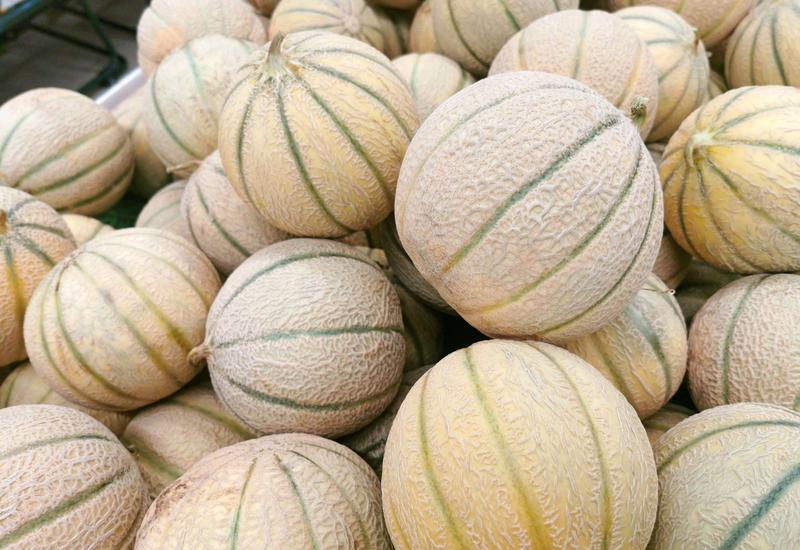 Melon