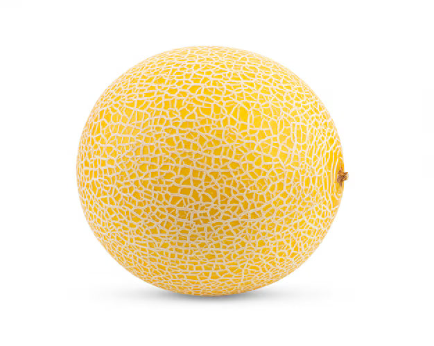 Melon